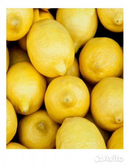 Yodeyma esecia DE Вода парфюмерная 100 мл