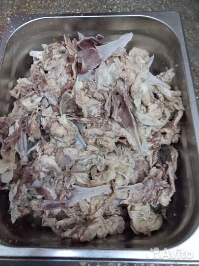 Хлеб и рыба горбуша на корм животным