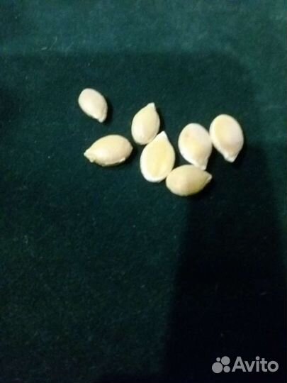 Семена тыквы Розовый банан, сладкая,крупная