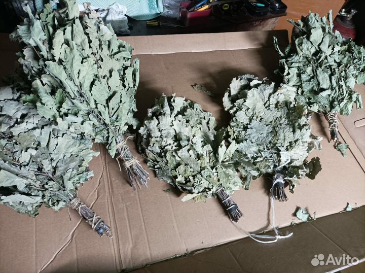 Дубовые веники для бани