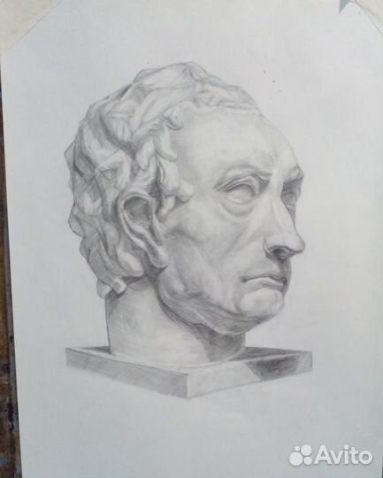 Репетитор: черчение, рисунок головы, композиция