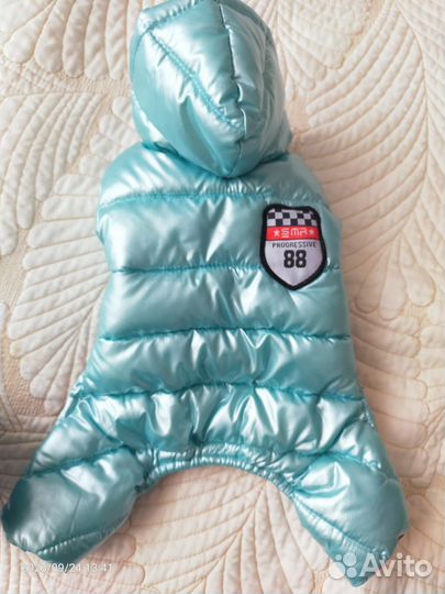 Одежда для маленькой собачки