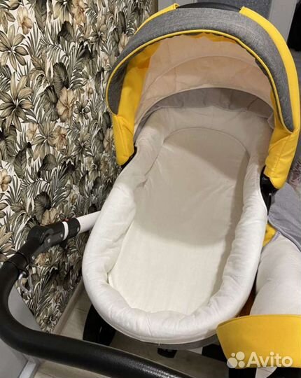 Коляска 2 в 1 adamex neonex