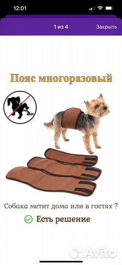 Пояс многоразовый для собак