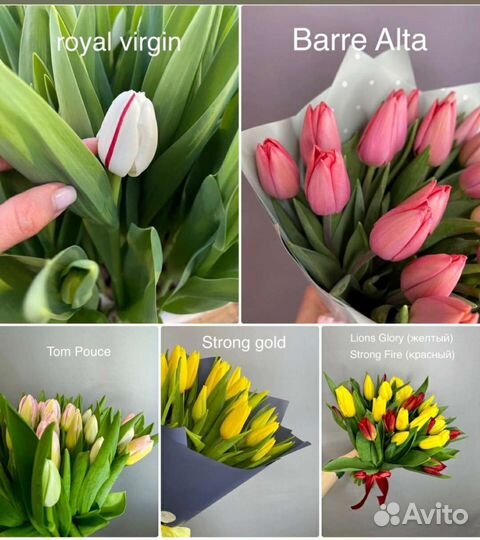 Луковицы тюльпанов Ярославль цветы