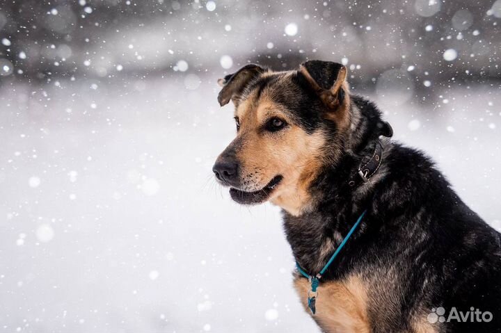 Скромный ласковый парень ищет своего человека