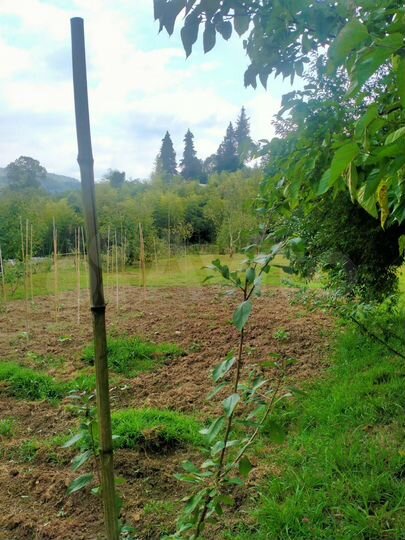 Участок 10 сот. (ИЖС)