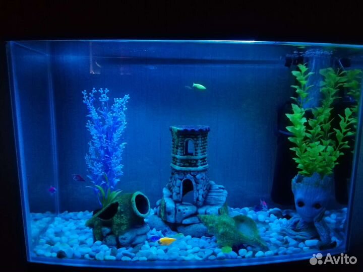 Аквариум