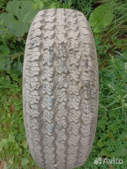 Запаска Грейт вол дир