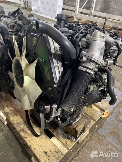 Двигатель d4cb