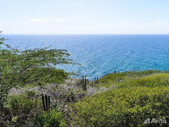 Поездка на Margarity 7 нч