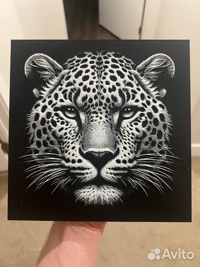 Коты - 3д-картины