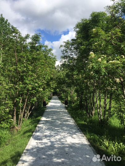 Экскурсии, автотуры и другие События)