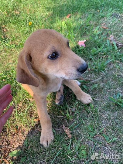 Помогите малышам