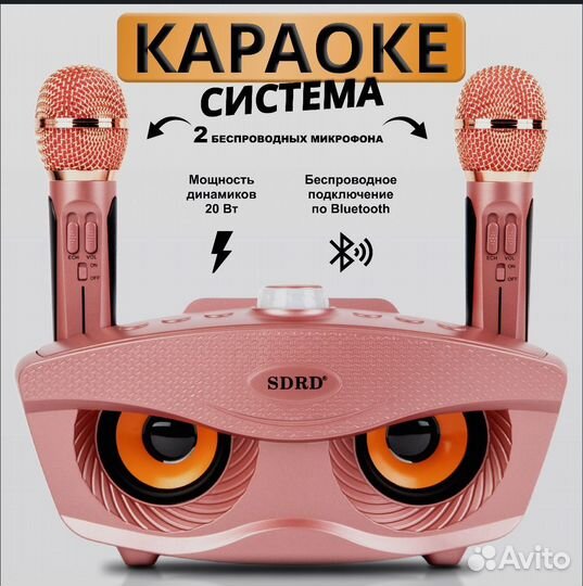 Караоке система с двумя беспроводными микрофонами