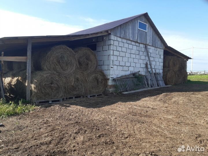 Продам сено в рулонах 330 кг. Рулон