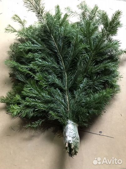 Пихтовые веники, лапник пихтовый, букеты пихтовые