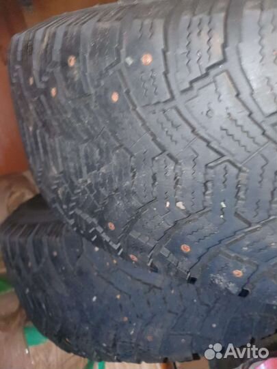 Cordiant Polar 205/65 R15