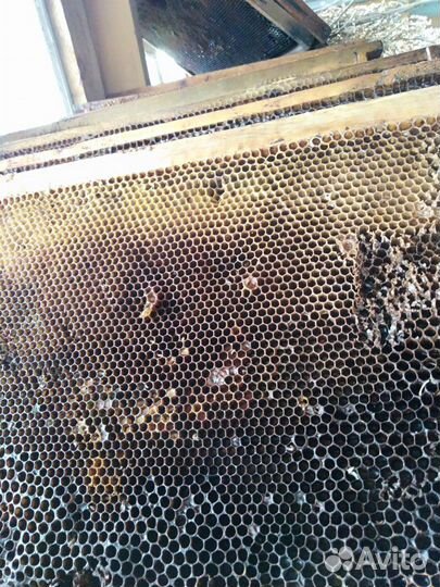 Продам сушь для пчёл