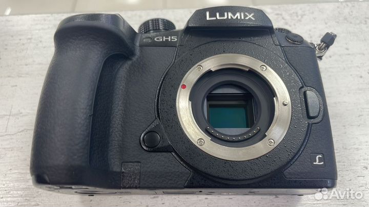 Panasonic DMC-GH5 body Состояние нового