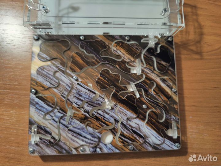 Муравьиная ферма (без муравьев)