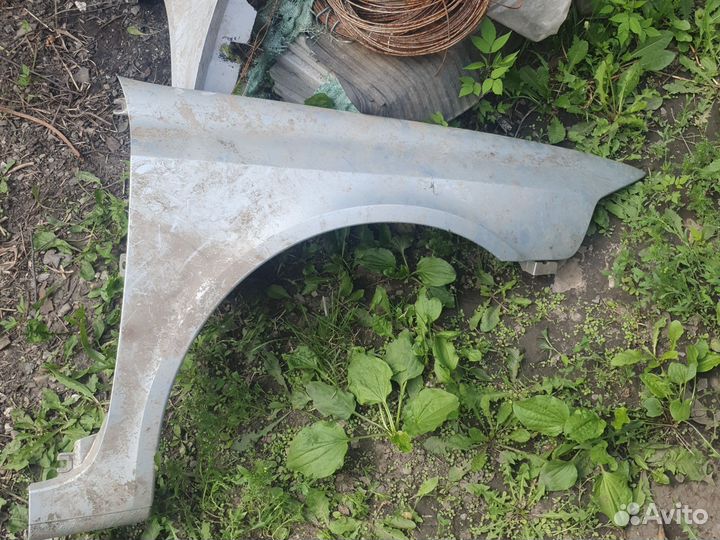 Крылья передние