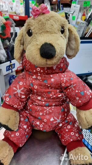 Дождевики, Комбинезоны, ошейники, поводки, шлейки