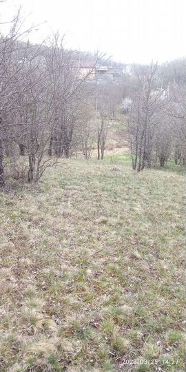 Участок 57 сот. (СНТ, ДНП)