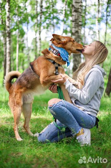 Модуса выкинули, парень очень ждет семью