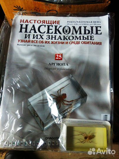 Журнал Настоящие насекомые и их знакомые Выпуск 25