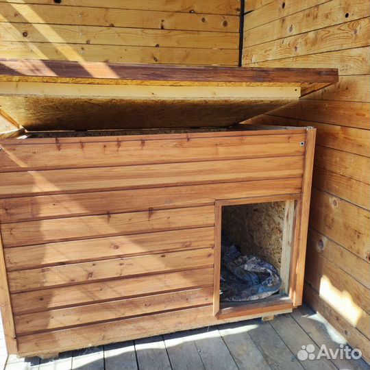 Собачья будка