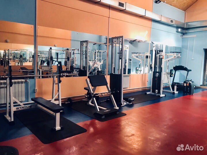 Профессиональные тренажеры для фитнеса
