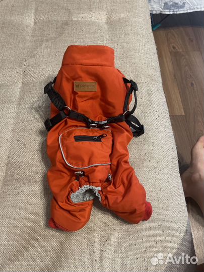 Комбинезон для маленькой собаки