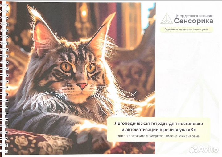 Рабочая тетрадь для логопеда.Звук К