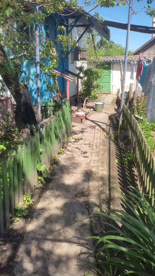 Дом 90 м² на участке 53 сот.