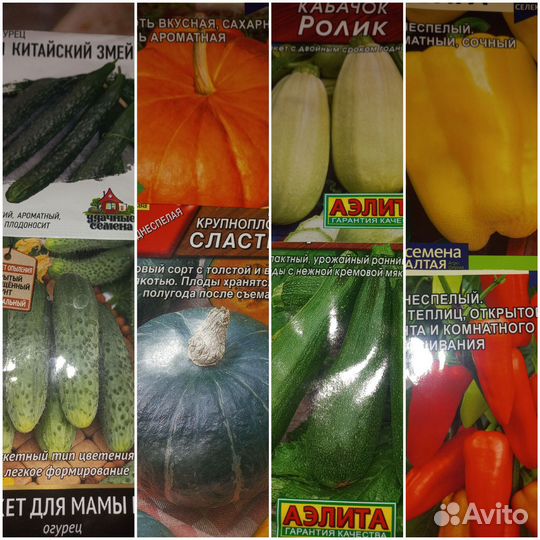 Рассада огурцов,перцев, кабачков