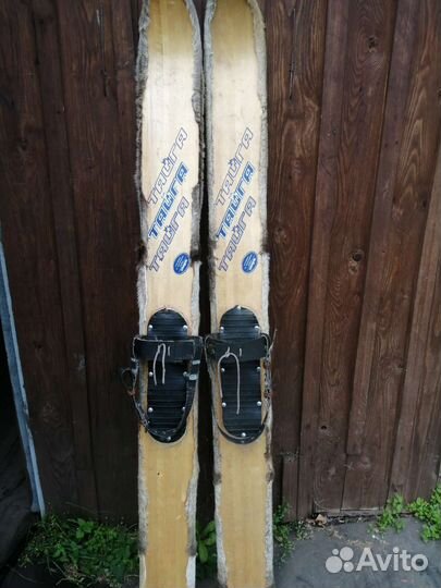 Лыжи охотничьи с камусом