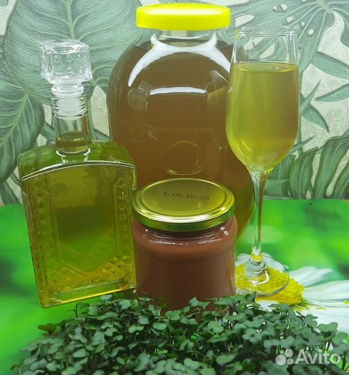 Винный гриб