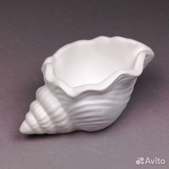 Ракушка из гипса