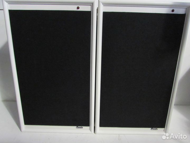 Carnegie Liesenktter 50/80 Акустика Germany