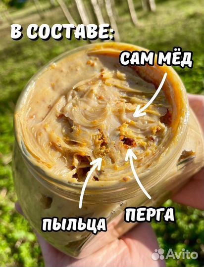 Дикий бортевой мед + доставка и 2 меда в подарок