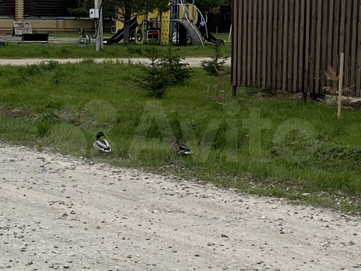 Участок 8,6 сот. (ИЖС)