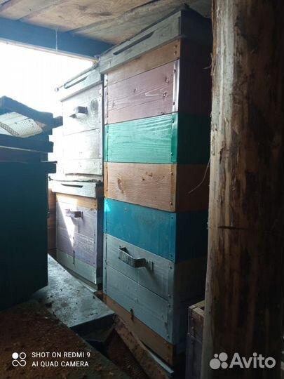 Улей для пчел бу