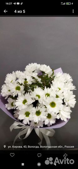 Хризантема на букет