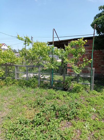 Дом 42 м² на участке 10 сот.