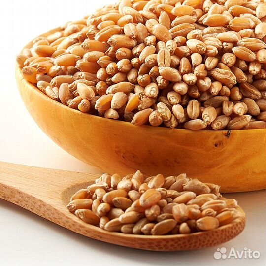 Семена пищевые, для проращивания