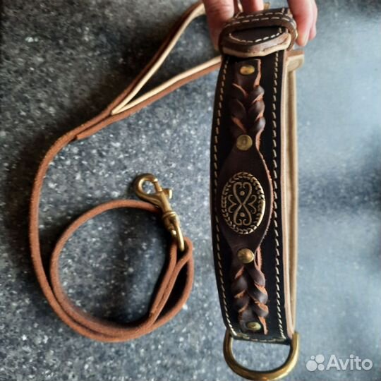 Ошейник для собак