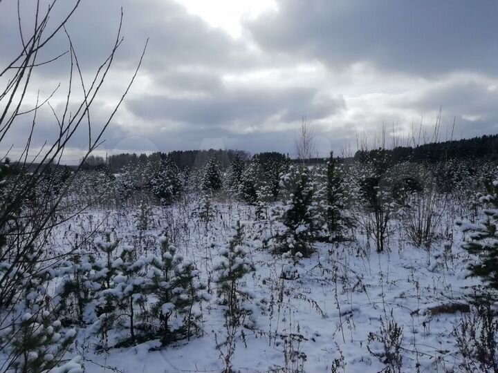 Участок 15 сот. (СНТ, ДНП)