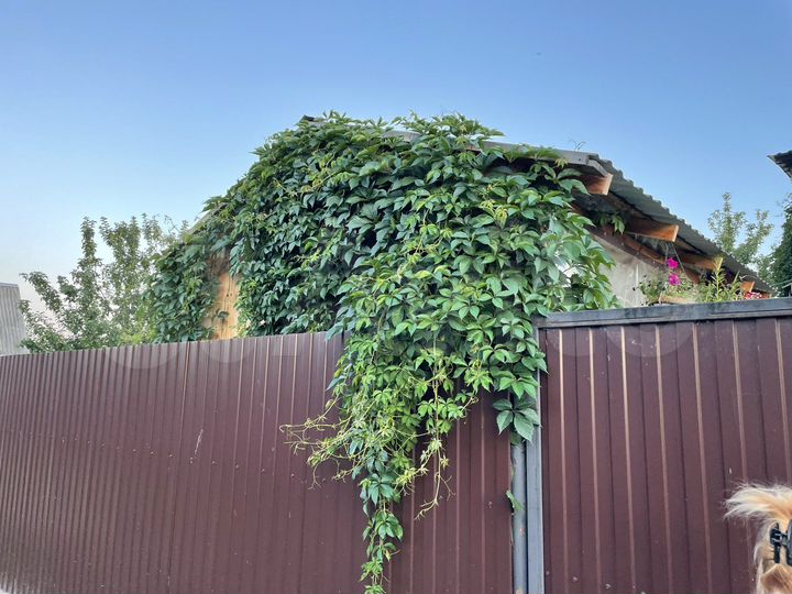 Дача 36 м² на участке 10 сот.