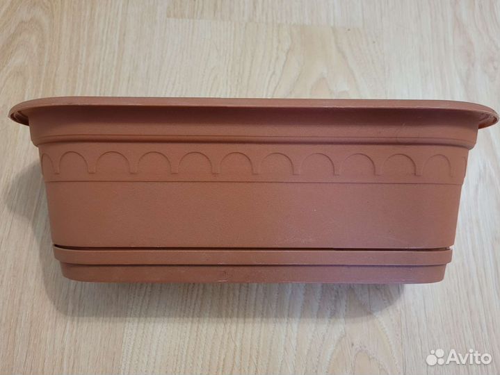 Кактусница